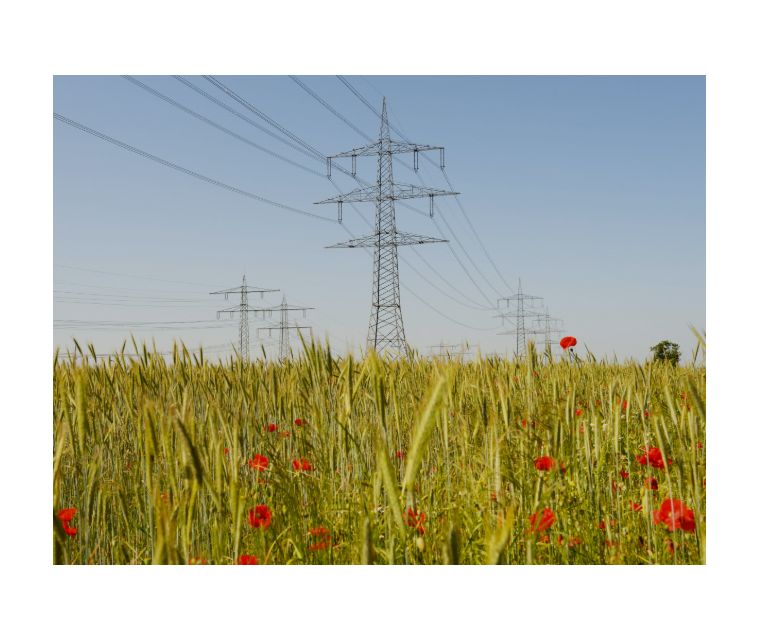 Intervention pour l'entretien de la végétation aux abords des lignes Haute tension (HTA)